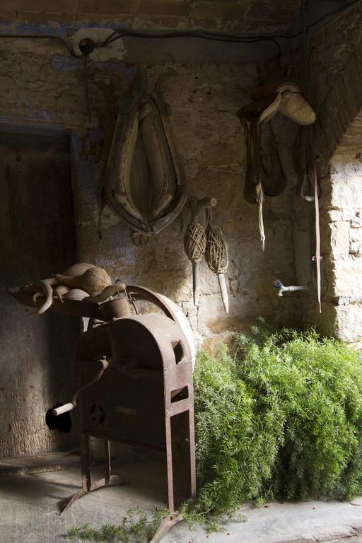 Can Barnosell - Els Masos D'En Coll Llaviá Dış mekan fotoğraf