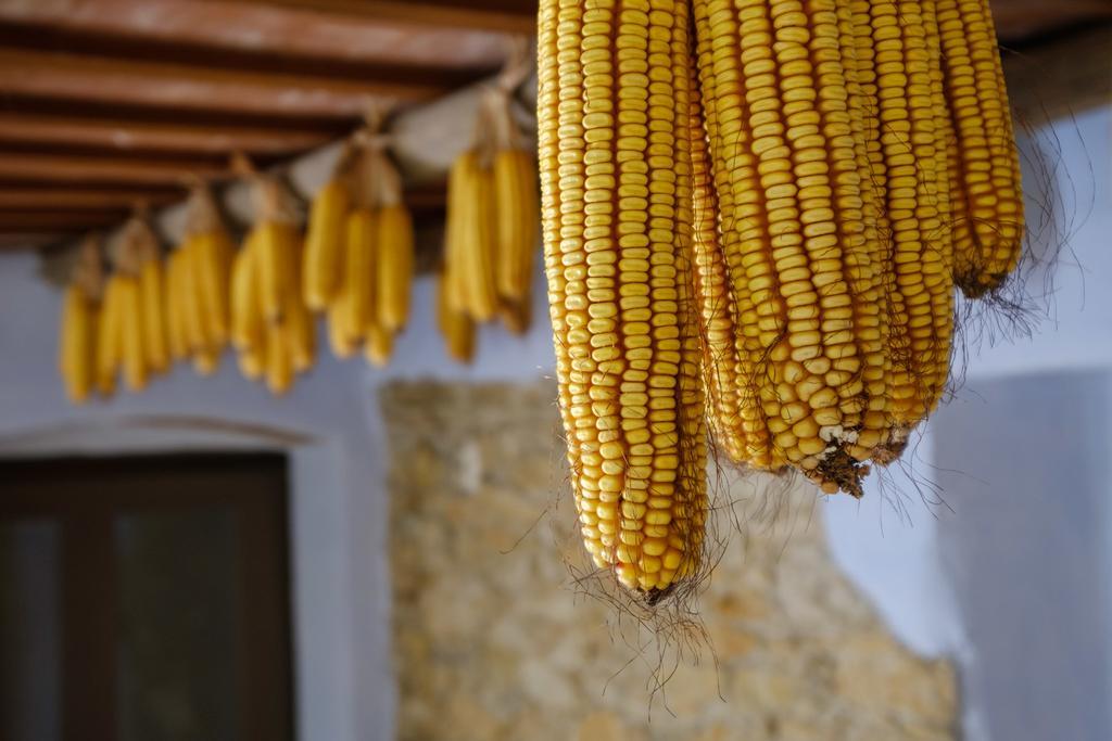 Can Barnosell - Els Masos D'En Coll Llaviá Dış mekan fotoğraf